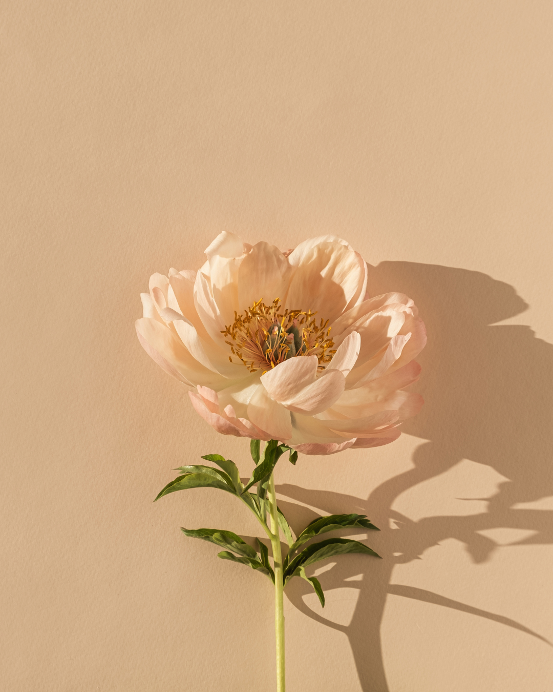 The Beauty of Less: What Skinimalism Really Means