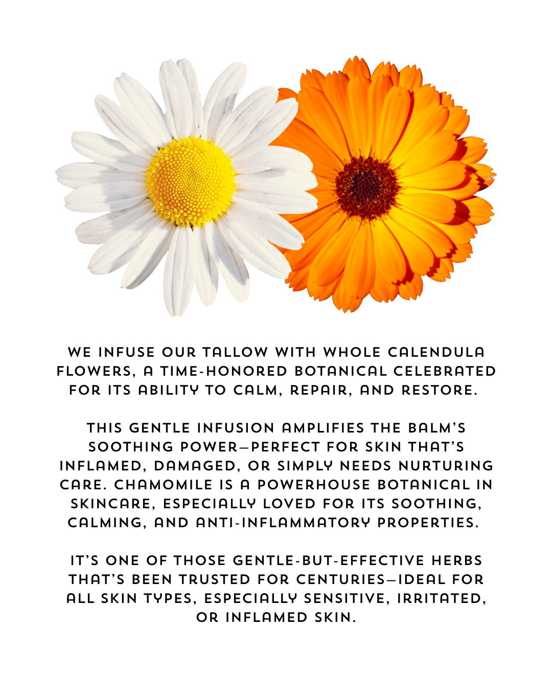 Extra Gentle - Hydrate Heal Soothe